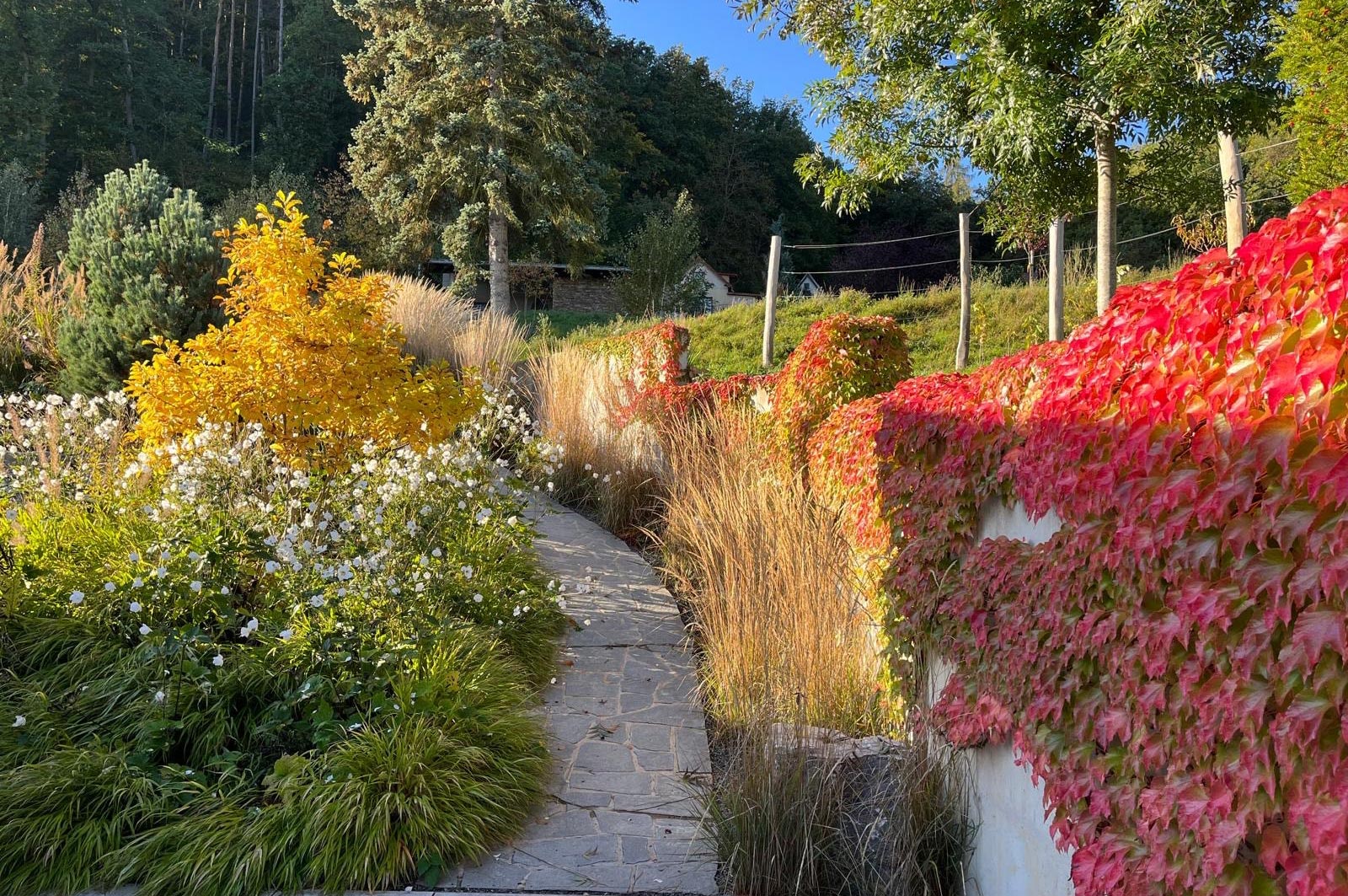 Zahrada se skákacími schody