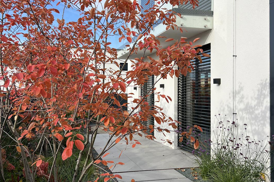 Zahrada s venkovní kuchyní