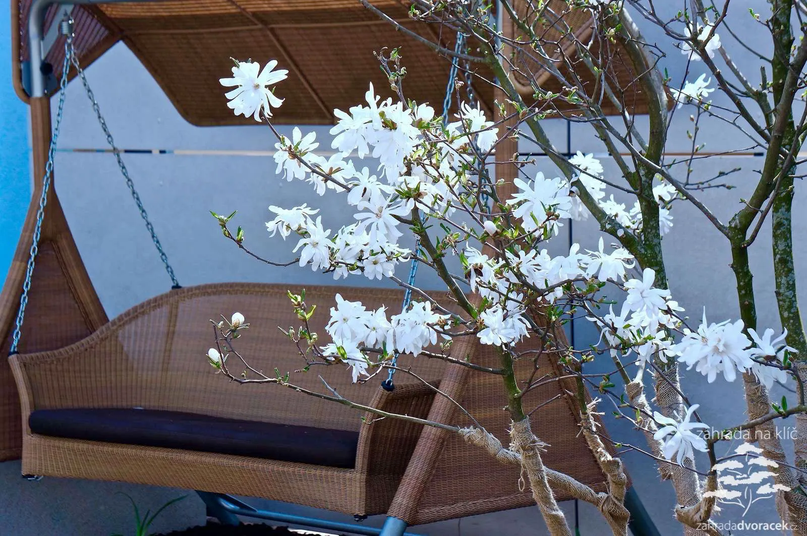 Zahrada se skákacími schody