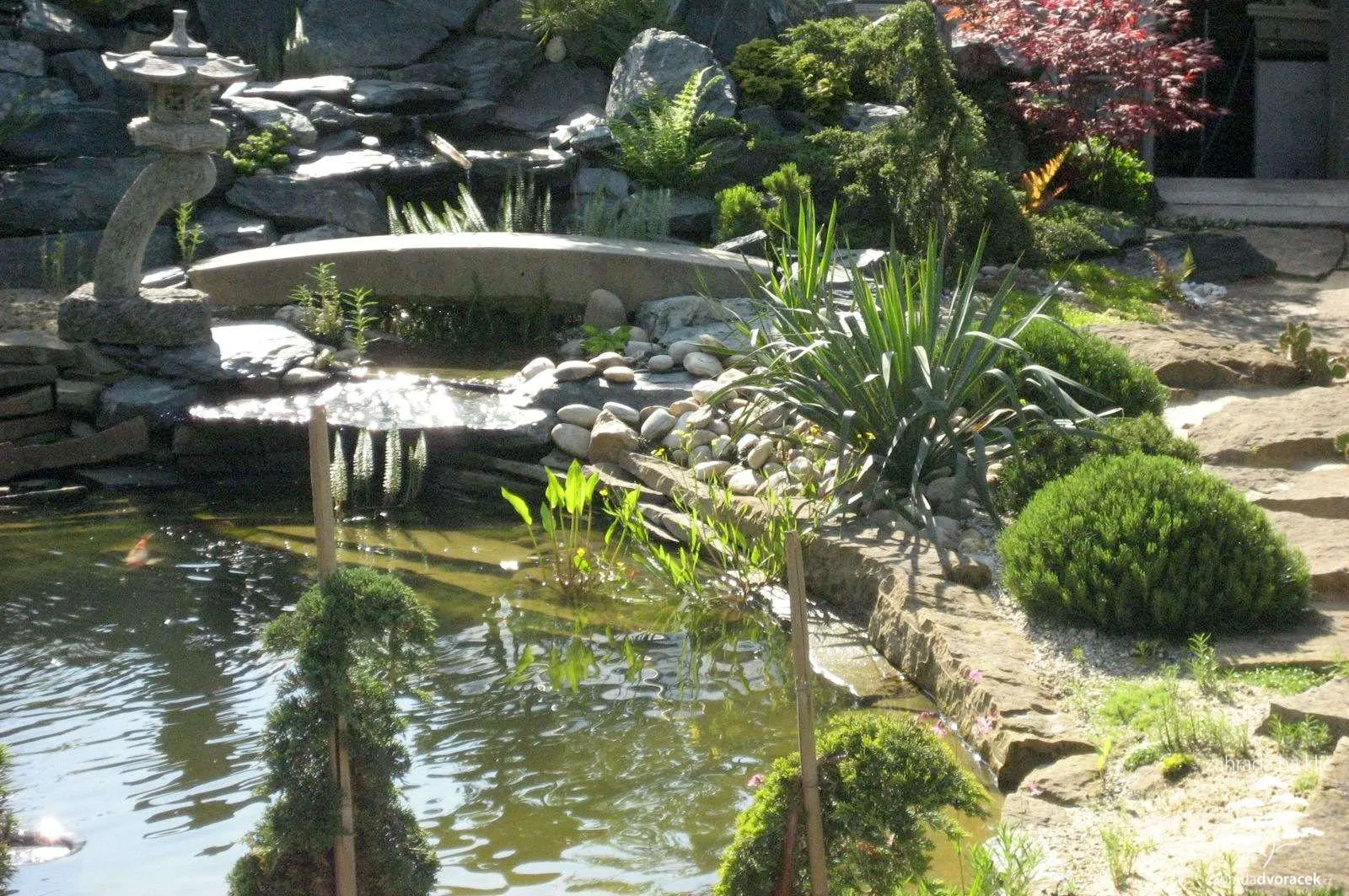 Malá zahrada s jezírkem