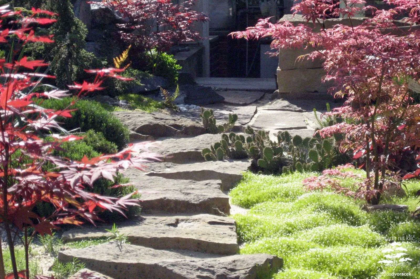 Malá zahrada s jezírkem