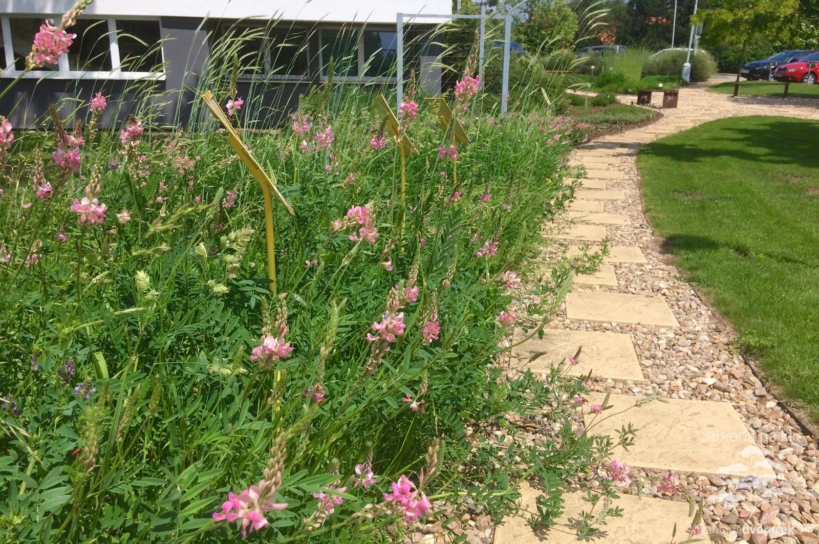 Prezentační plocha