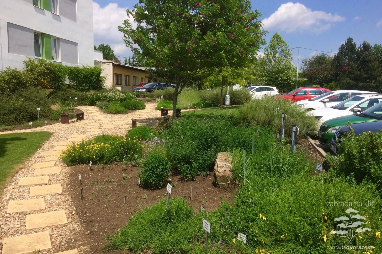 Prezentační plocha