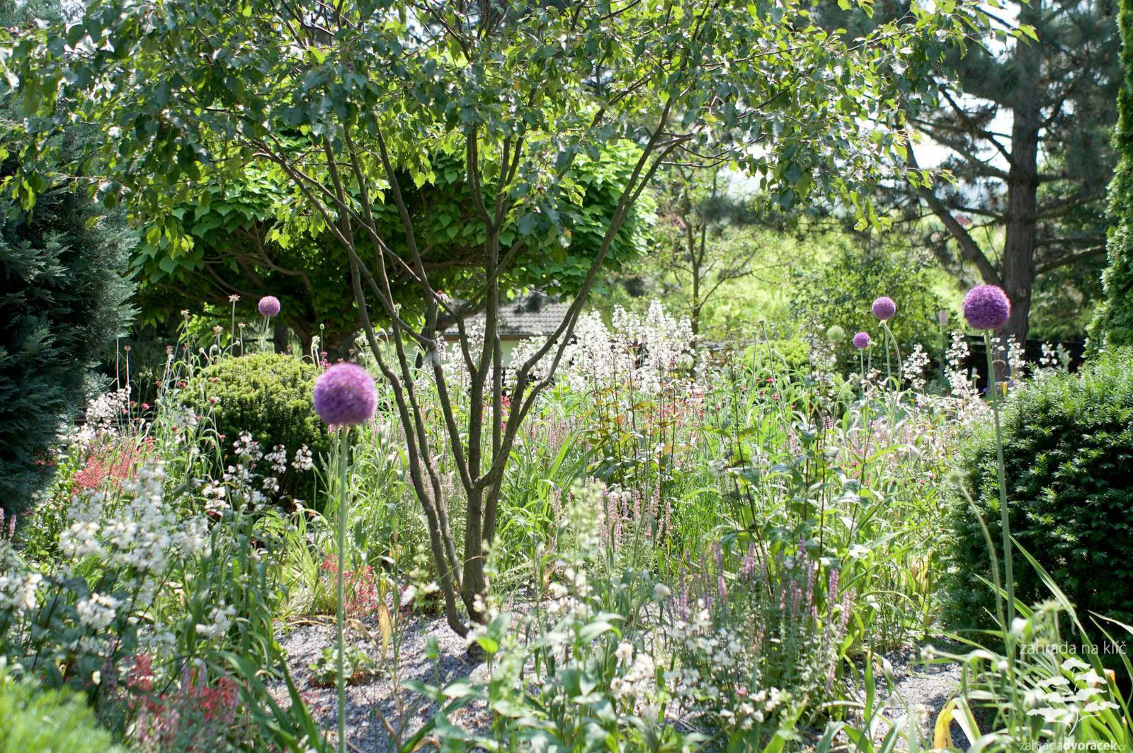 Zahrada se skákacími schody