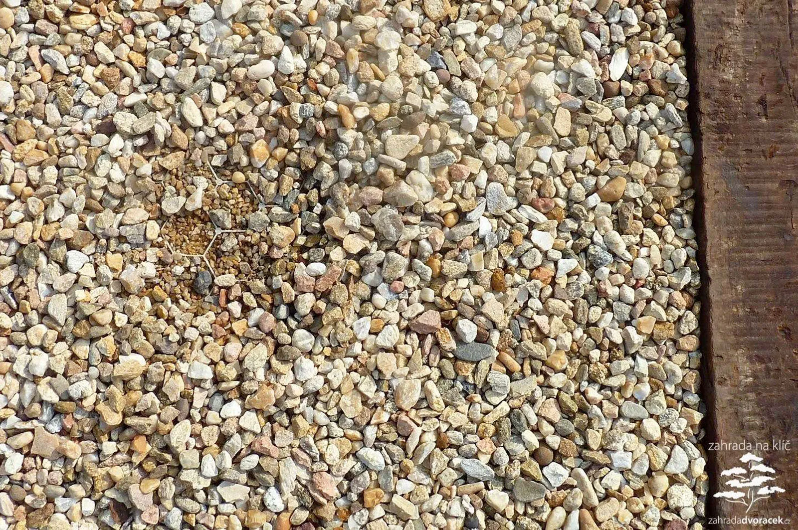 Venkovská zahrada s parkovištěm pro auta