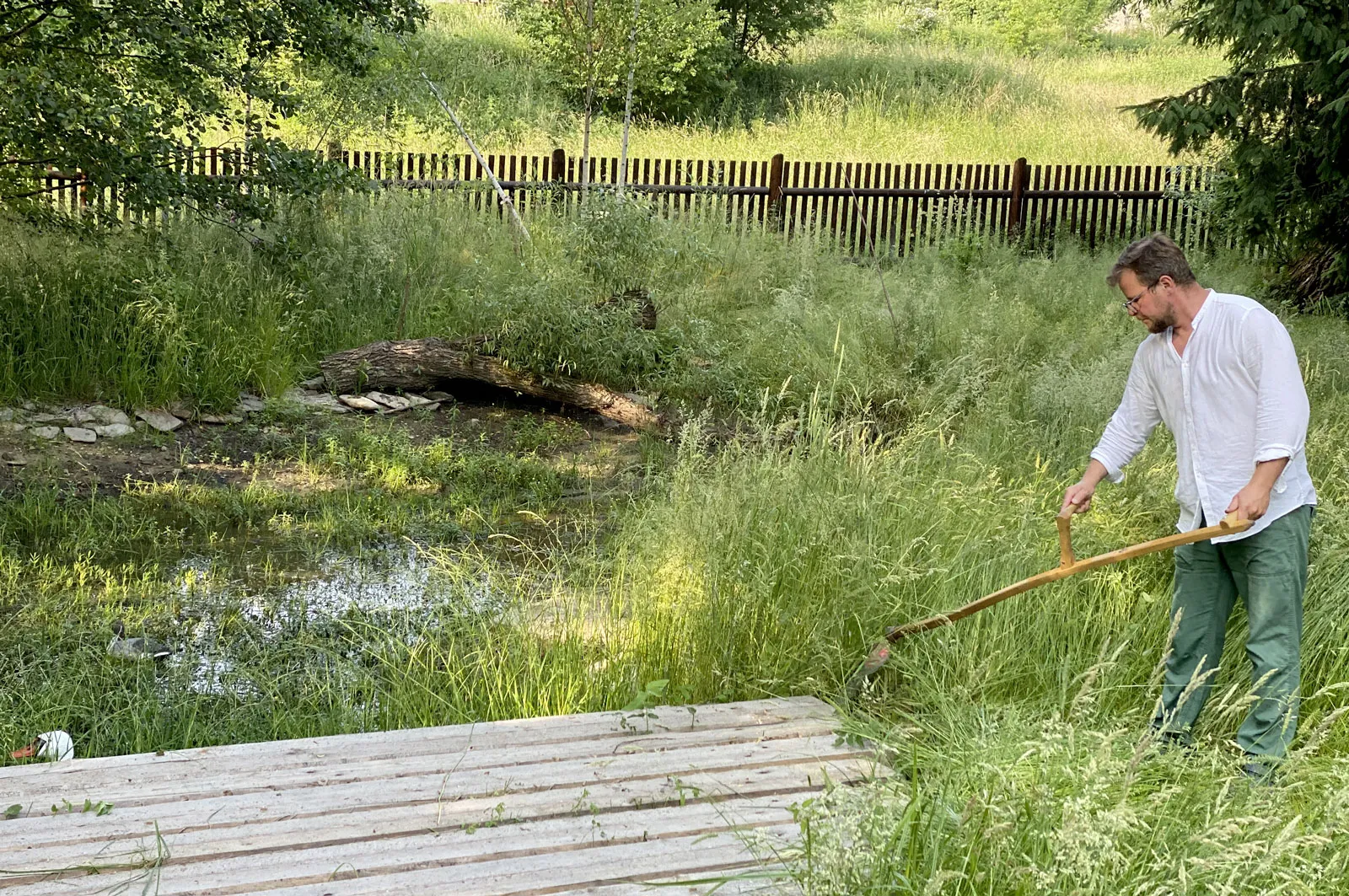 Zahrada s mokřadem