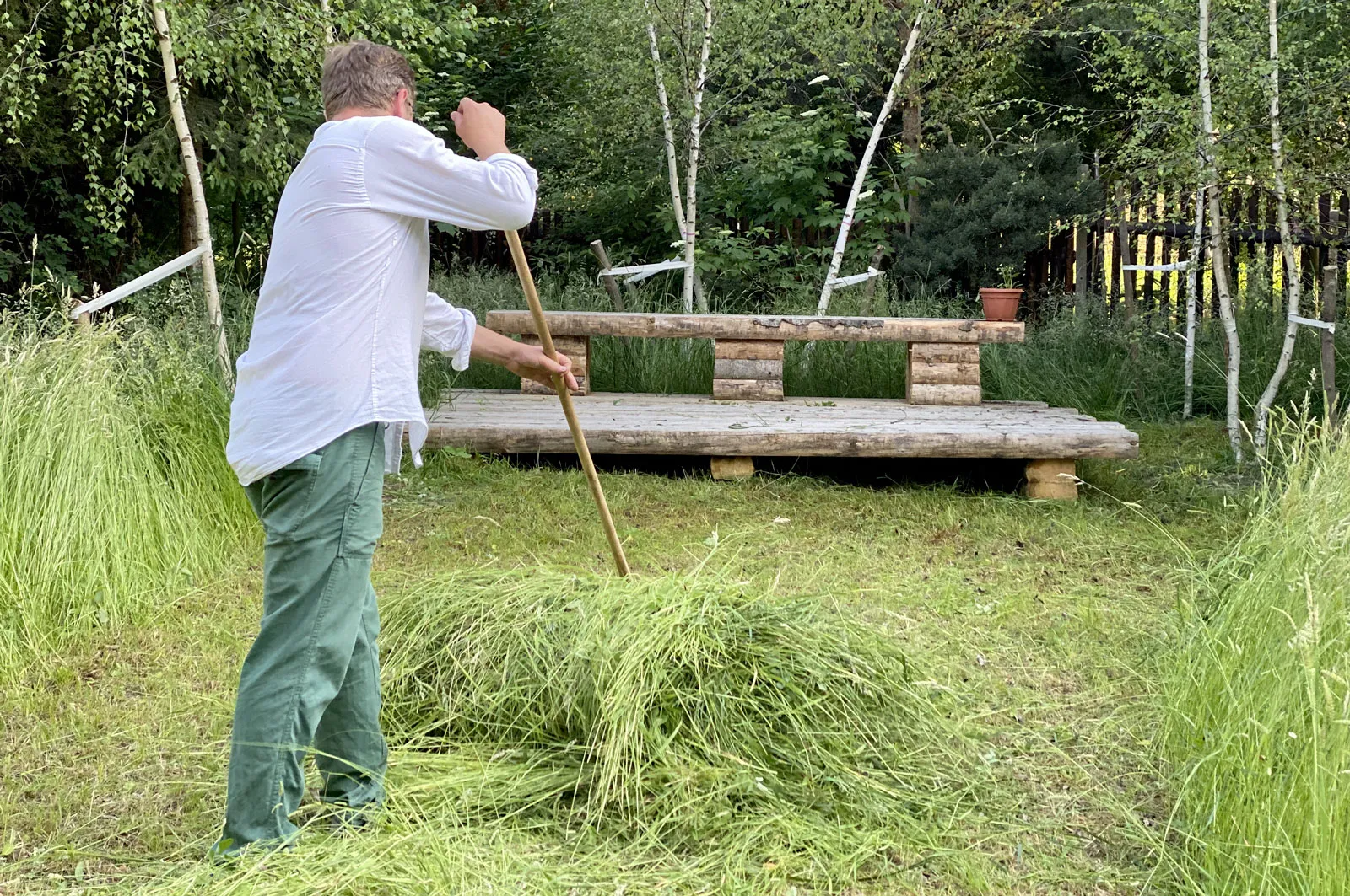 Zahrada s mokřadem
