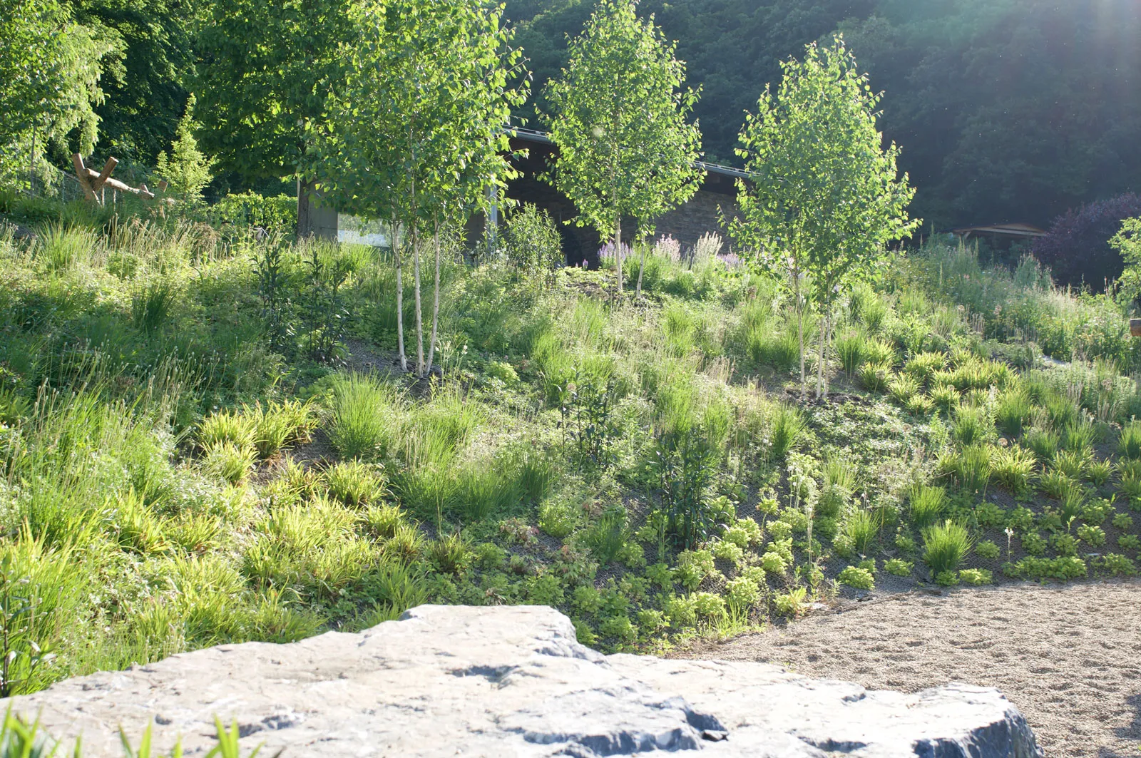 Zahrada se skákacími schody