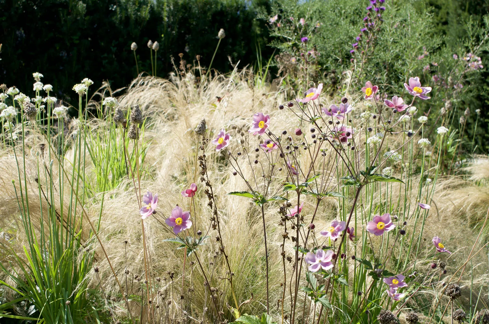 Zahrada se skákacími schody