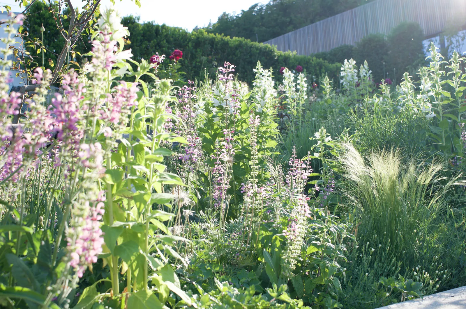 Zahrada se skákacími schody