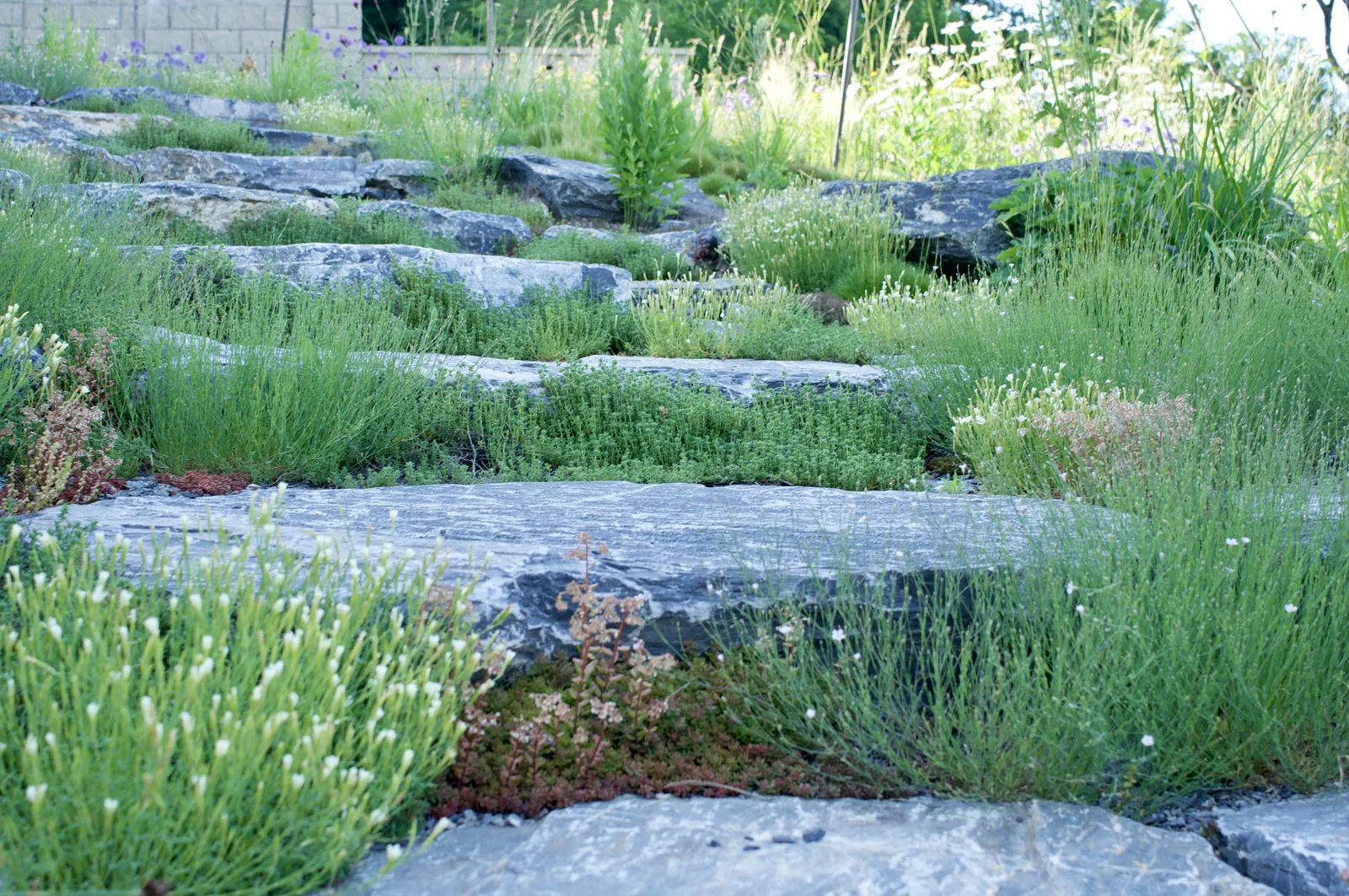 Zahrada se skákacími schody