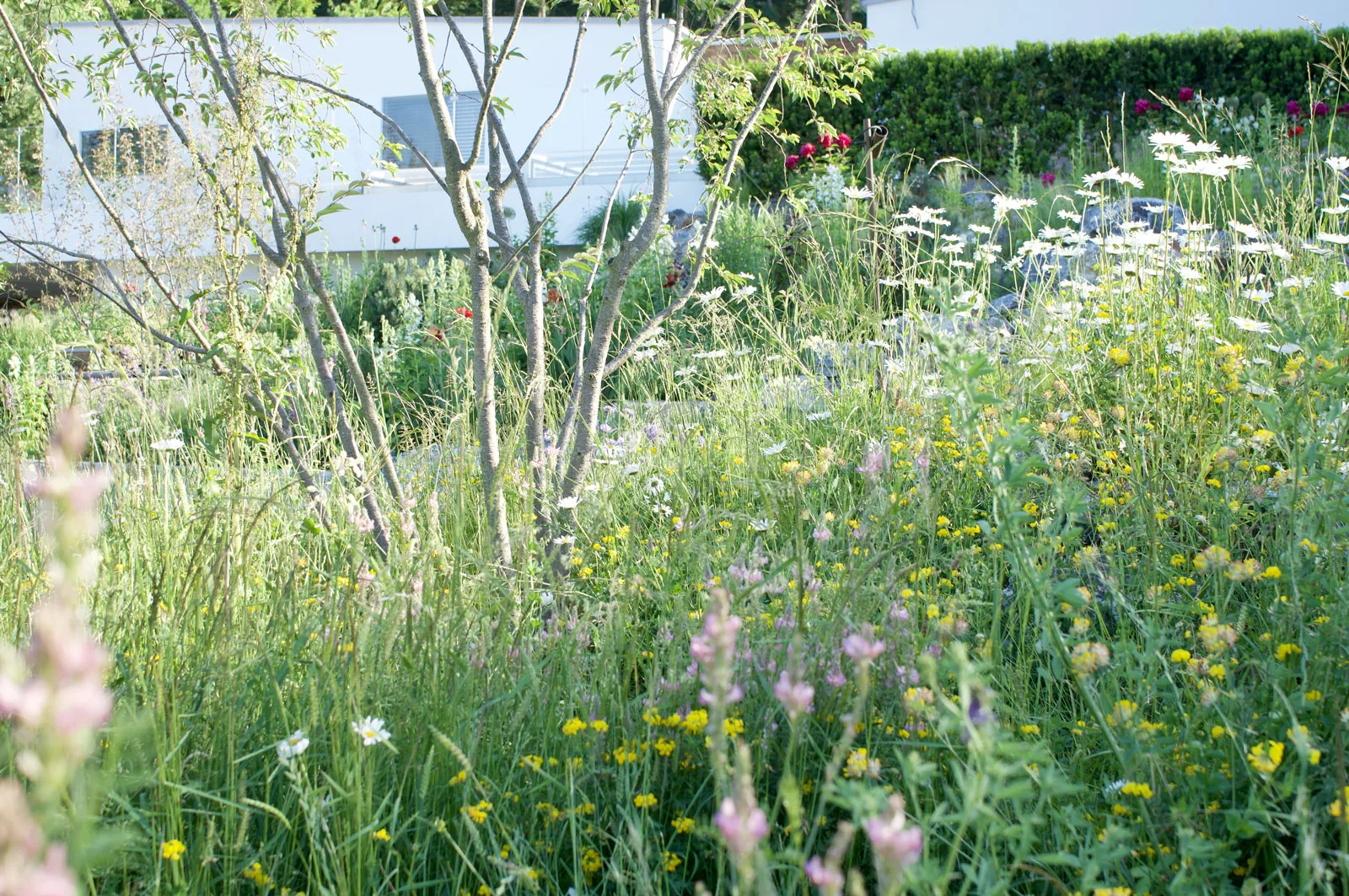 Zahrada se skákacími schody