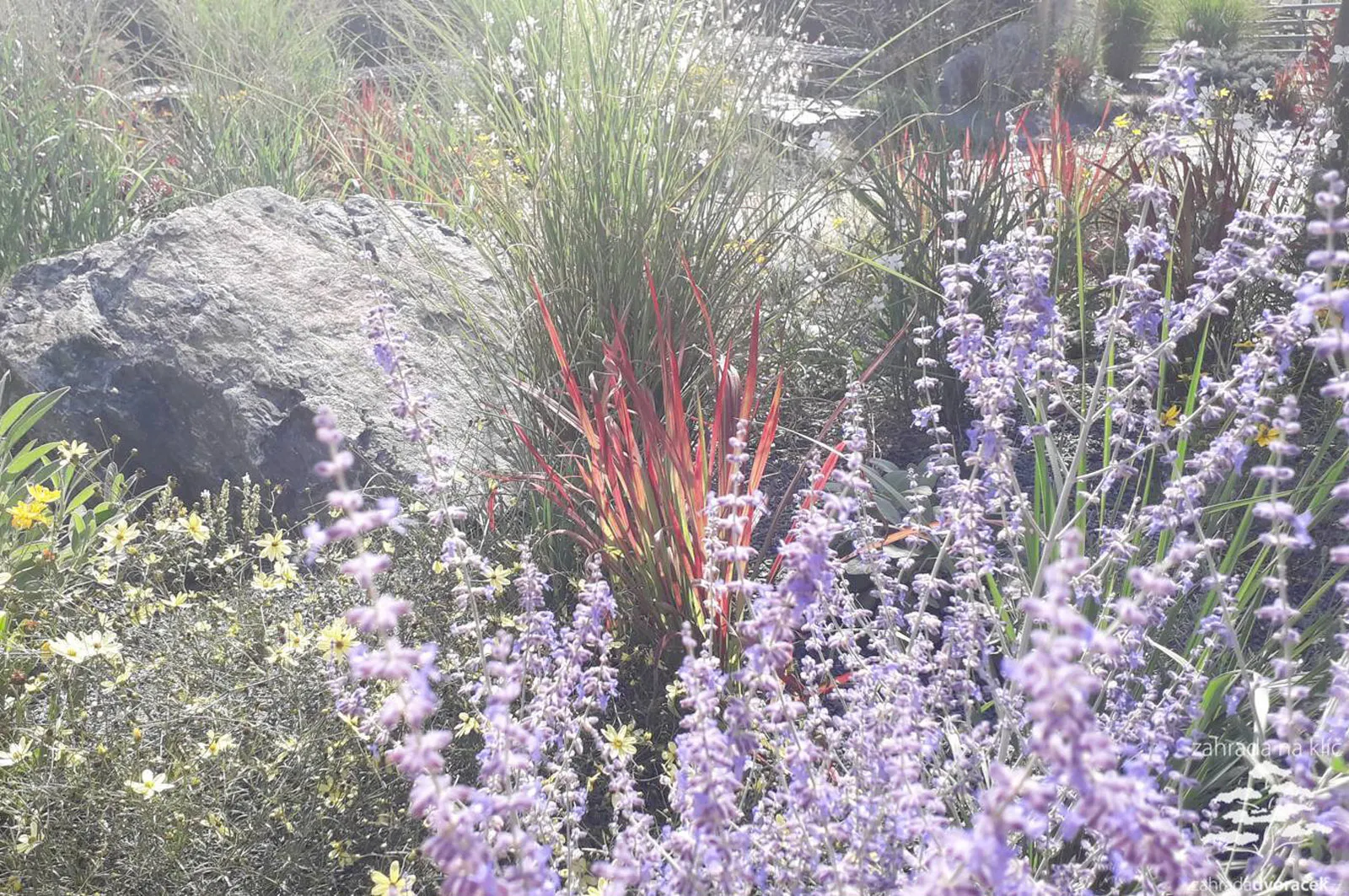 Zahrada stříbřito červená