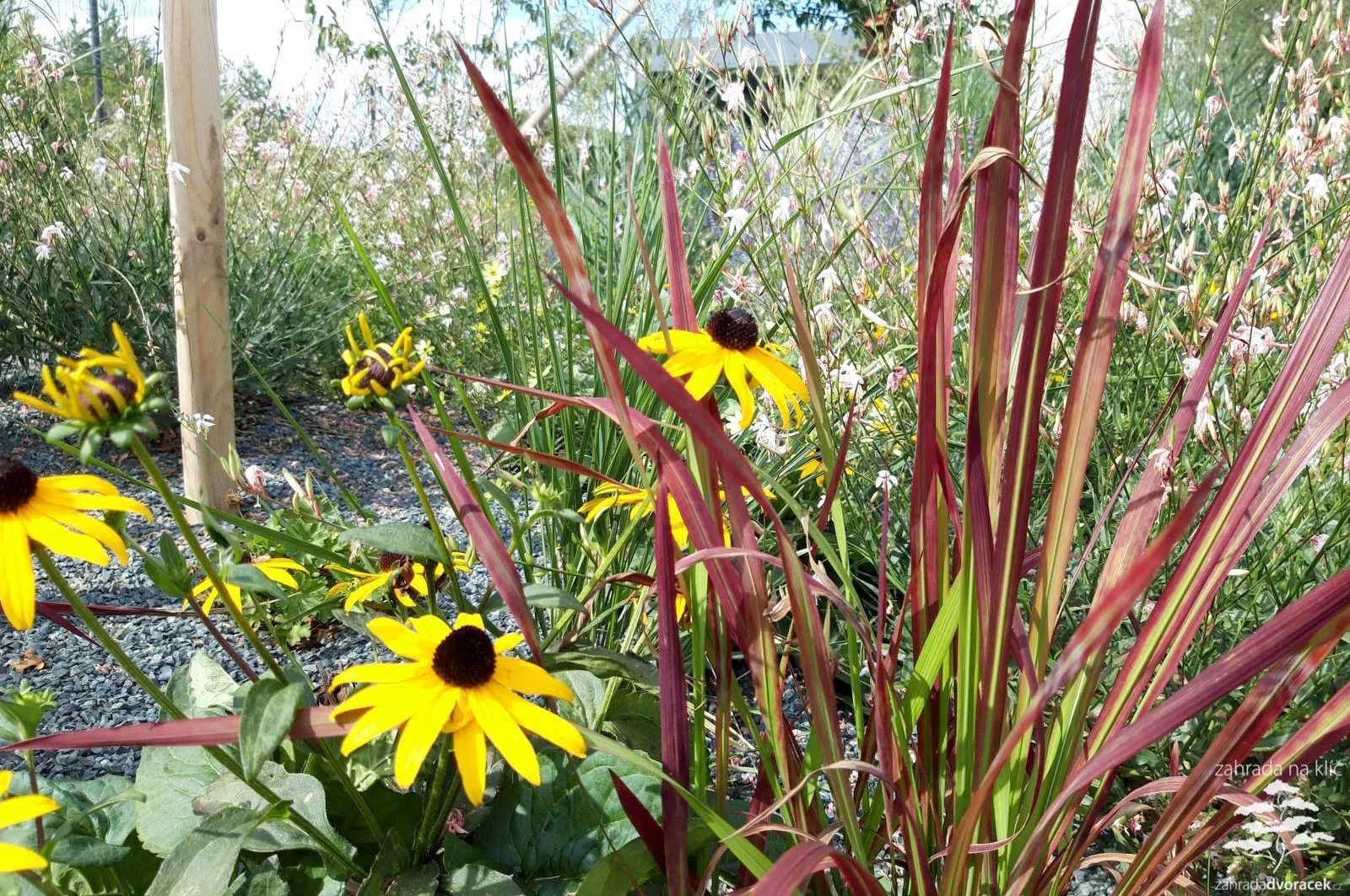 Zahrada stříbřito červená