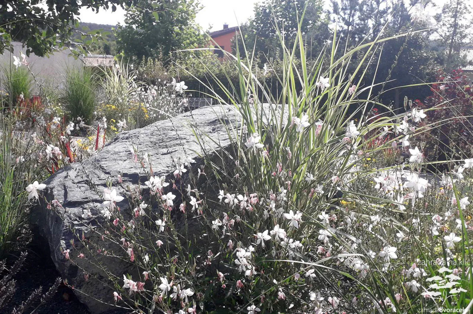 Zahrada stříbřito červená